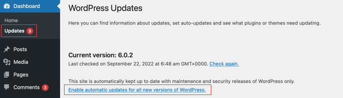 Wordpress update