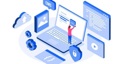 wordpress audit graphic